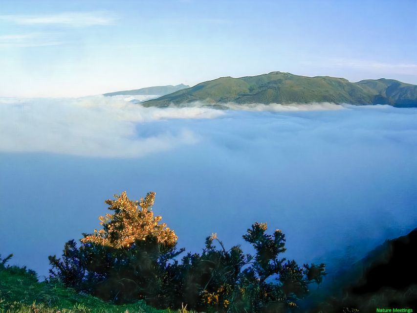 Madeira: Pico Arieiro to Pico Ruivo Hike - Hike Overview