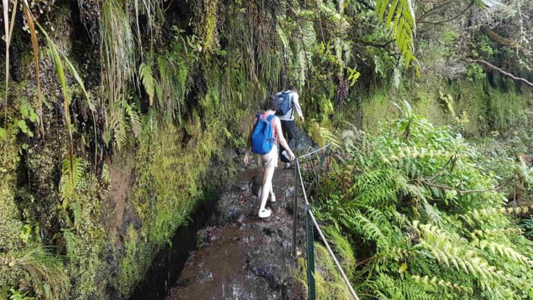 Madeira: Private Guided Levada Calderão Verde Walk Pr9 Overview Of The Walk