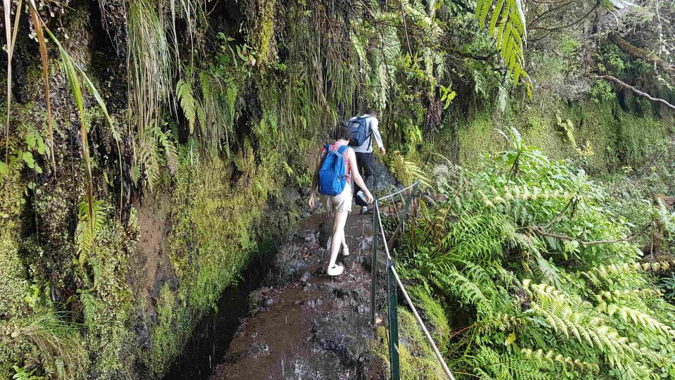 Madeira: Private Guided Levada Calderão Verde Walk PR9 - Overview of the Walk