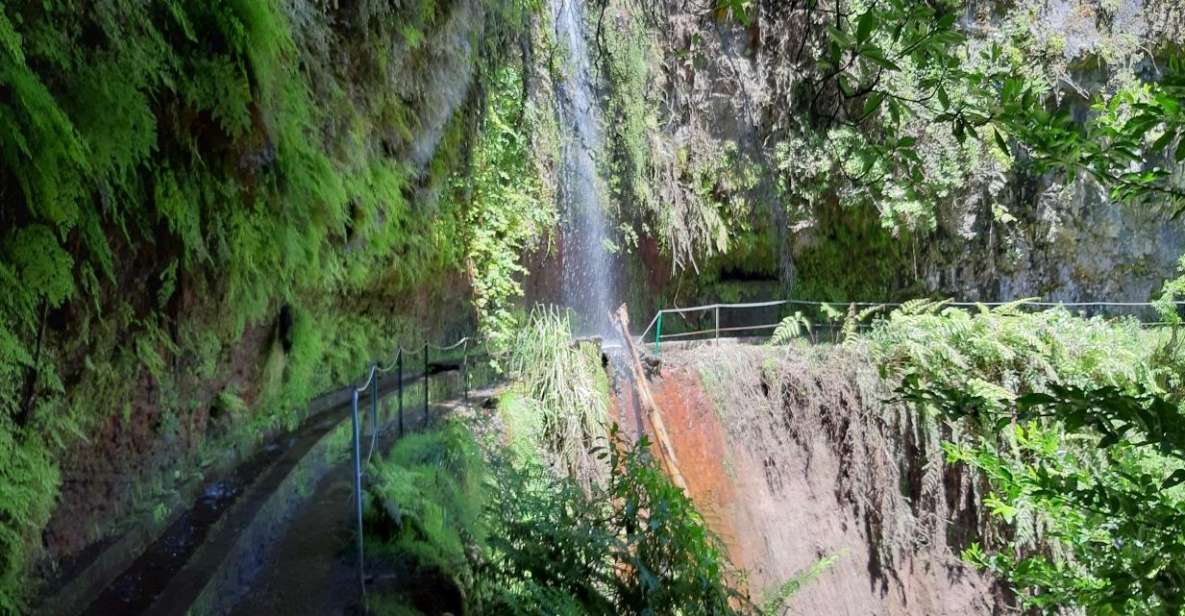 Madeira: Private Guided Levada Do Rei Walk PR18 - Overview of the Levada Do Rei Walk