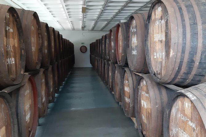 Madeira: Private Half Day Wine Tasting Tour Winery And Wine Tasting