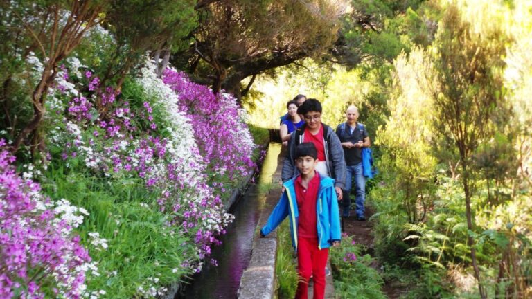 Madeira: Rabaçal 25 Fountains Levada Walk & Cabo Girão Overview Of Activity