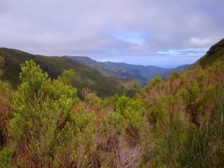 Madeira: Rabaçal Valleys 3 Hour Guided Walk Activity Overview