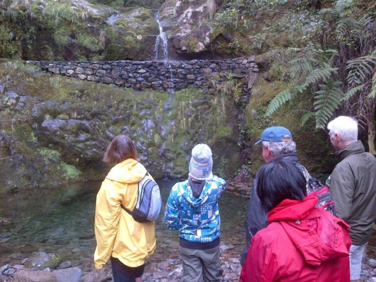 Madeira: Ribeiro Frio To Portela 4 Hour Guided Walk Experience Highlights