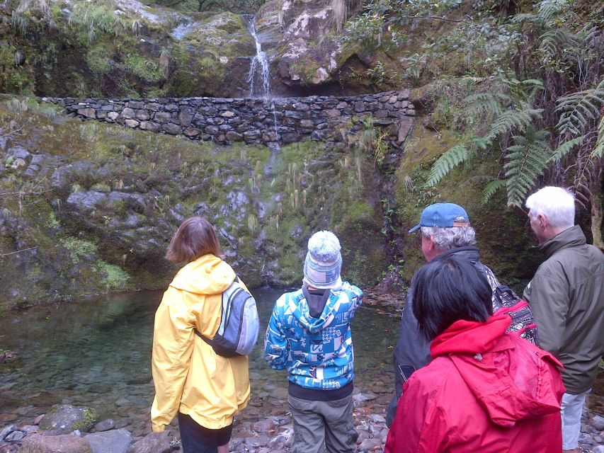 Madeira: Ribeiro Frio to Portela 4-Hour Guided Walk - Experience Highlights