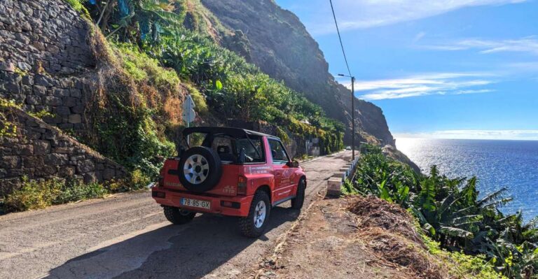 Madeira Southwest In 4h: R. Brava, P. Do Sol & Paul Do Mar Tour Overview