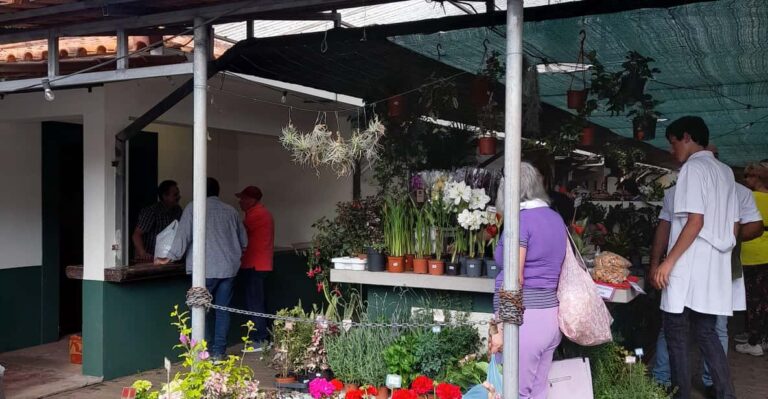 Madeira: Sunday Market In Santo Da Serra Activity Duration And Availability