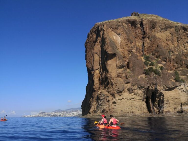 Madeiras Marine Reserve: Kayak & Snorkelling Trip Tour Overview