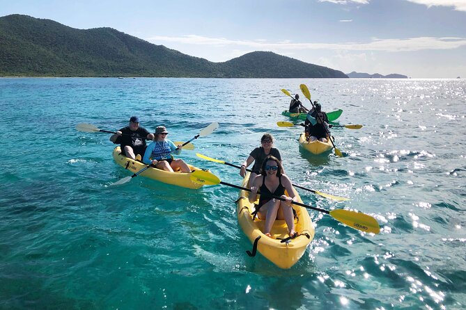 Magic Mangrove Paddle In Beef Island Lagoon Paddling Through The Lagoon