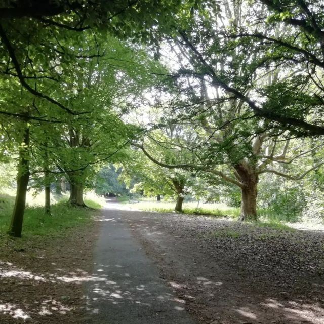 Maidstone: Mote Park Nature Walk and Drawing Workshop - Overview of the Experience