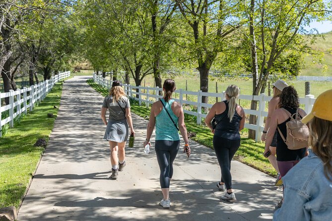 Malibu: Guided Vineyard Hike With Photo Stops And Wine Overview And Experience