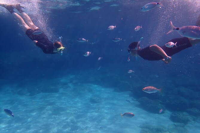 Mallorca: Snorkeling In A Beautiful Nature Reserve Inclusions