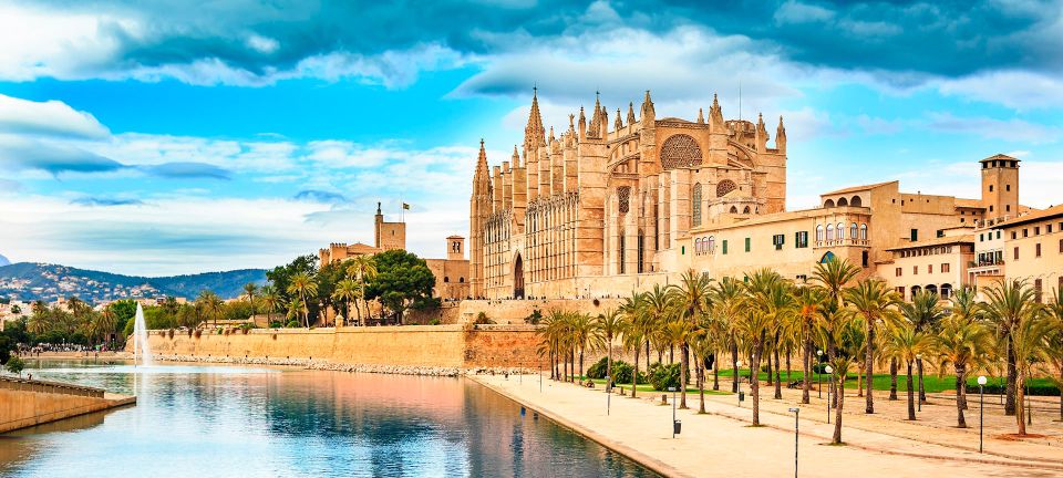 Mallorca Walking & Picnic Tour (Ink. Town, Nature, Beach) - Meeting the Palma Centre