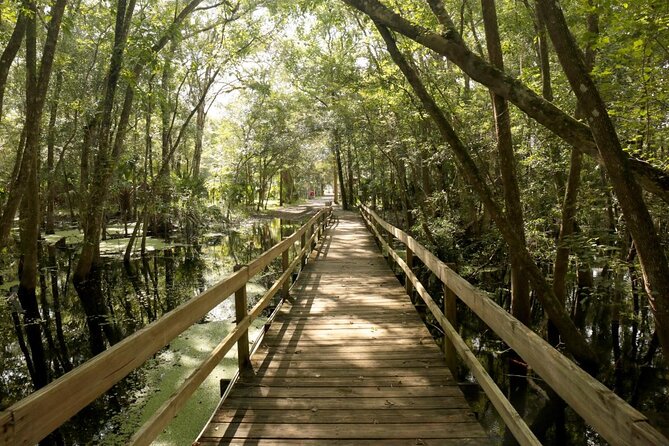 Manatee Adventure, Airboat, Lunch, Wildlife Park With Transport Tour Overview