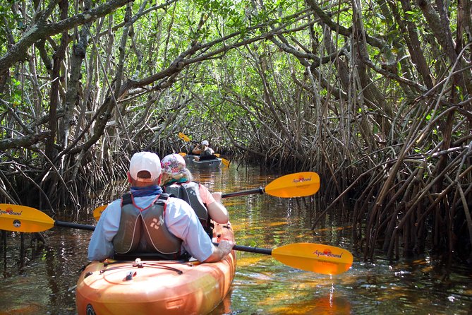 Manatees and Mangrove Tunnels Small Group Kayak Tour - Tour Overview and Details