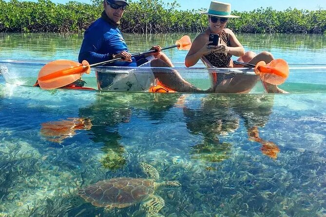 Mangrove Cay Tour - Meeting and Pickup