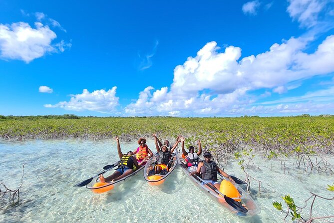 Mangrove Clear Kayak Tour Tour Overview