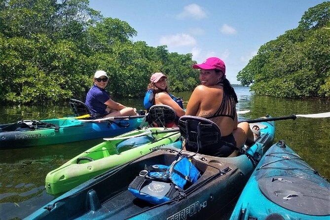 Mangrove Tunnel Kayak Adventure In Key Largo Overview Of The Adventure