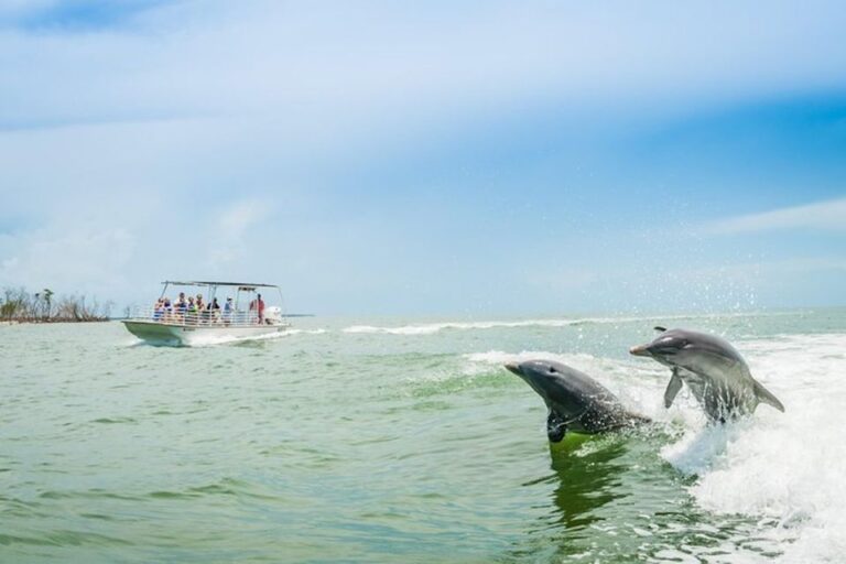 Marco Island: Dolphin Watching Boat Tour Booking And Cancellation Details