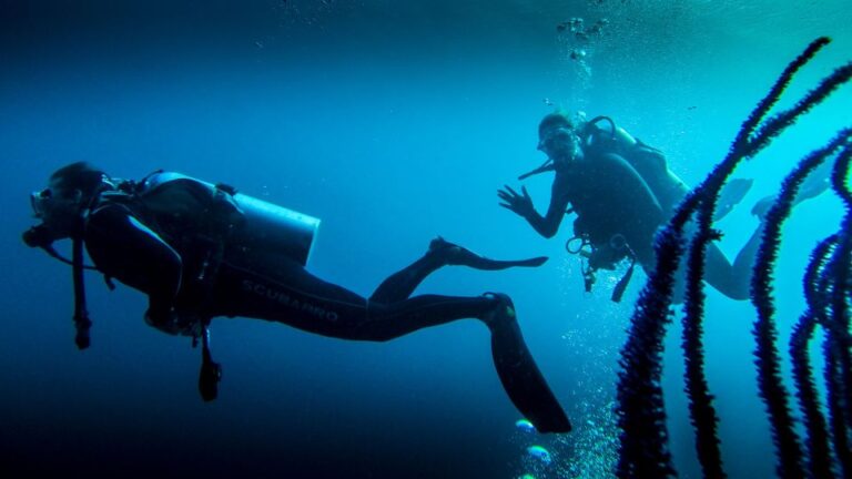 Marmaris: Scuba Diving Experience With 2 Dives And Lunch Experience The Underwater World