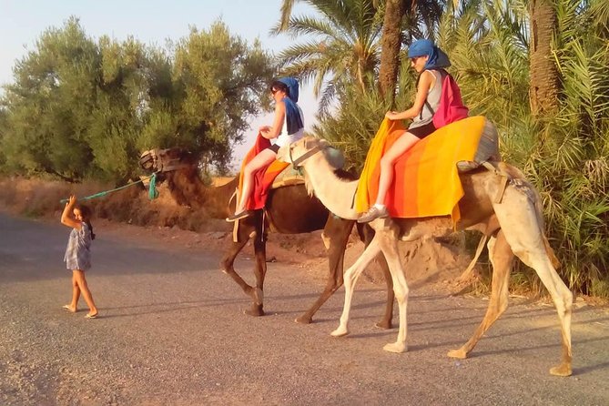 Marrakech Camel Ride Tour Tour Overview