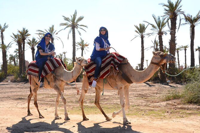 Marrakech Desert Camel Ride - Overview of the Experience