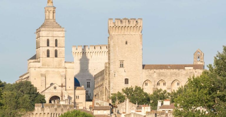 Marseille: Cruise Ship Excursion To Avignon & Popes Palace Tour Duration And Languages