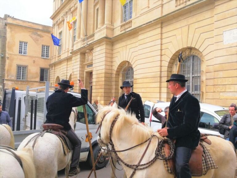 Marseille: The Camargue 8 Hour Guided Outing Flamingos, Bulls, And Horses