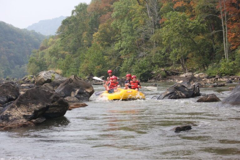 Marshall: French Broad Whitewater River Rafting Experience Activity Overview