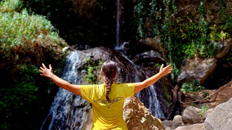 Maspalomas: Barranco De Los Cernicalos Rainforest Hike Overview Of The Hike