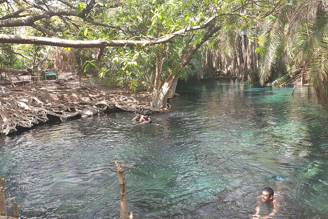 Materuni Waterfalls,coffee And Chemka Hotspring Tour Tour Highlights