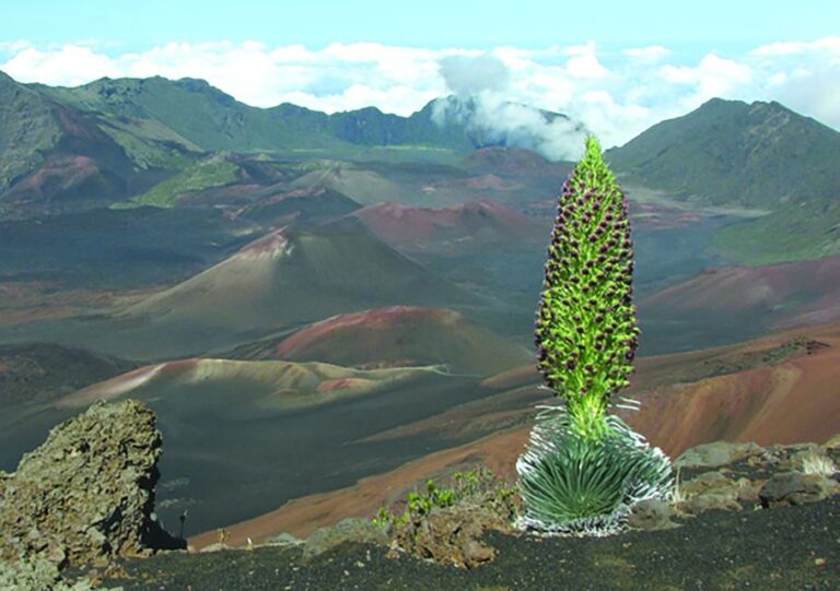 Maui: Haleakala National Park Sunset Tour Tour Overview