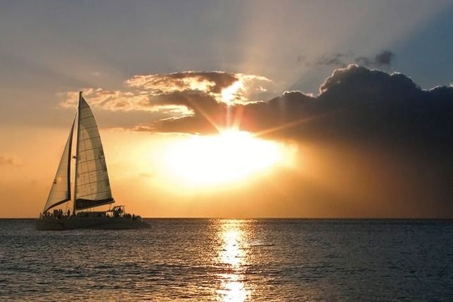 Maui: Maalaea Catamaran Sunset Sail With Appetizers Certified Marine Naturalists Onboard