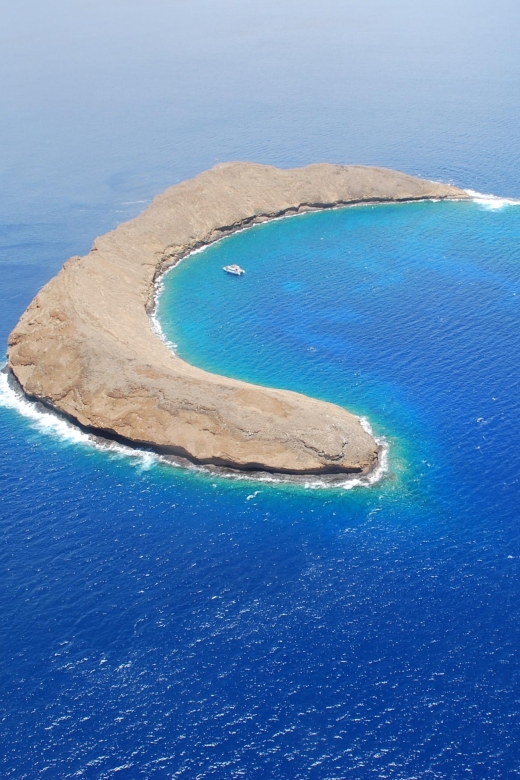 Maui: Molokini Crater & Turtle Town Snorkeling Tour Tour Overview