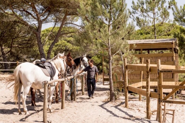 Melides: Horse Riding On The Beach With Wine Tasting Horse Riding On The Dunes