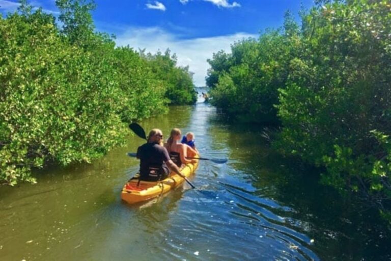 Merritt Island: Guided Kayak Or Sup Tour Along Banana River Tour Overview And Pricing