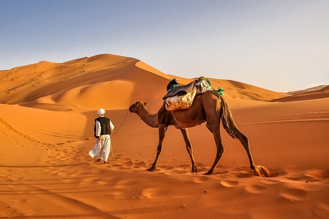 Merzouga Camel Trekking & Overnight Desert Camp Tour Overview