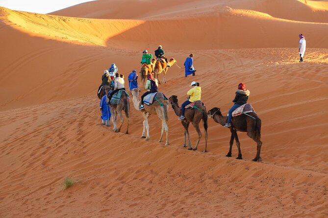 Merzouga Desert Campsite &Camel Excursions - Included Experiences and Activities