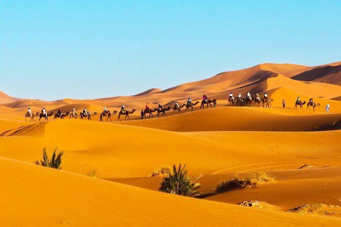 Merzouga Orange Dunes Atv Sandsurf Camels With 5 Stars Dinner Overview And Tour Highlights