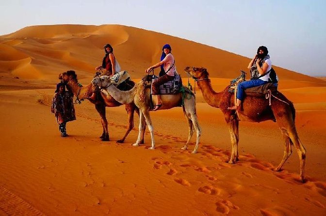 Merzouga Overnight Stay In A Berber Tent And Camel Ride Experience Highlights