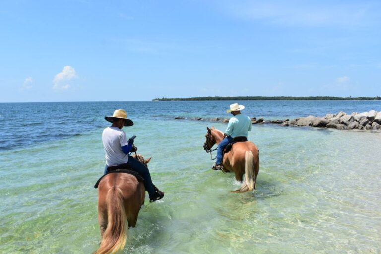 Miami: Beach Horse Ride & Nature Trail Overview Of The Experience