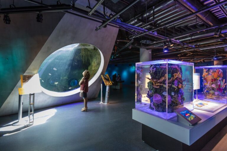 Miami: Frost Museum Of Science And Planetarium Entry Ticket Ticket Pricing And Availability