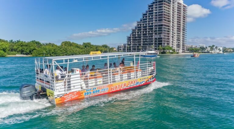 Miami: Hop On Hop Off Boat Cruise Activity Overview