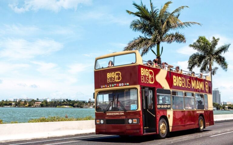 Miami: Hop On Hop Off Sightseeing Tour By Open Top Bus Tour Overview And Pricing