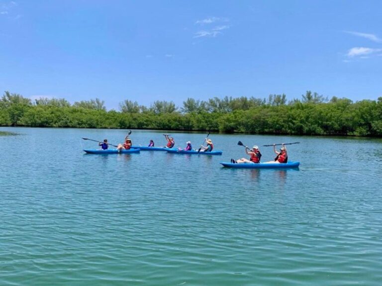 Miami: Manatee Season Tour Paddleboard Or Kayak Tour Tour Overview