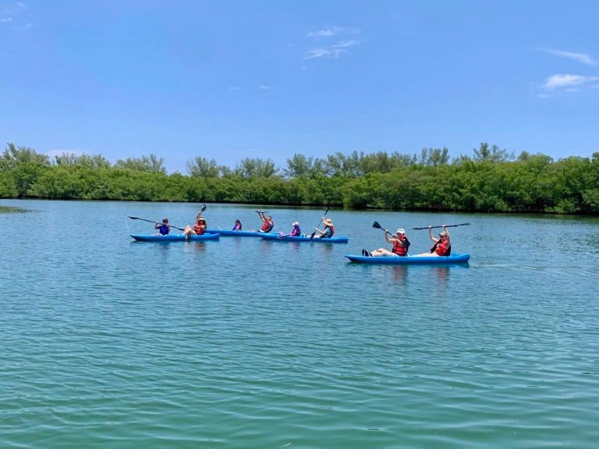 Miami: Manatee Season Tour Paddleboard or Kayak Tour - Tour Overview