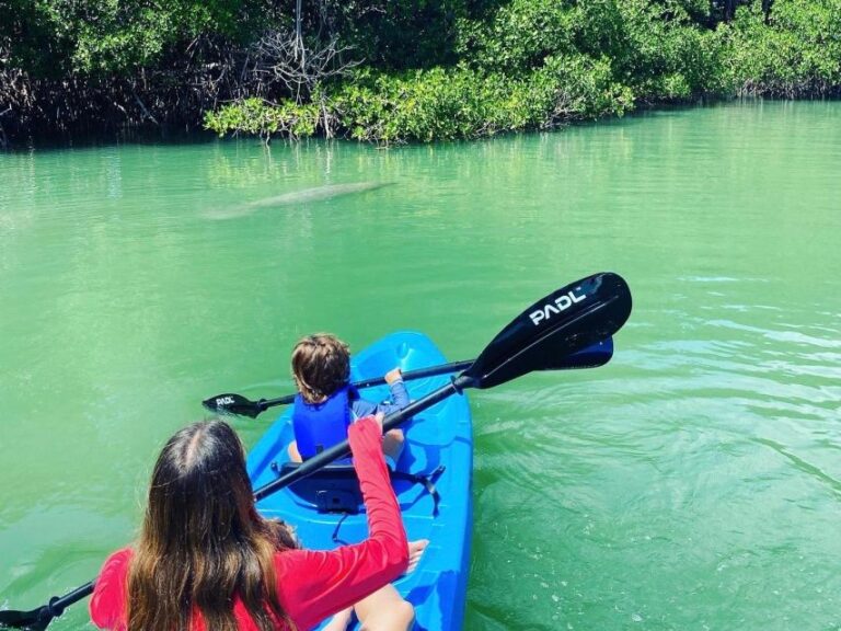 Miami: Paddle Board Or Kayak Rental In Virginia Key Activity Overview