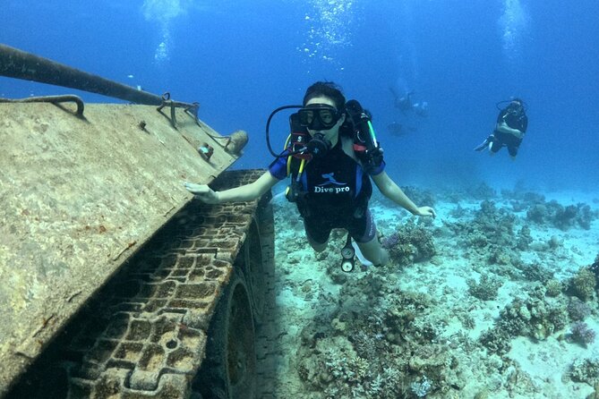 Military Museum Diving Experience In The Red Sea Overview Of The Experience