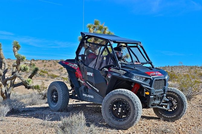 Mojave Desert Off Road Rzr Tour In Las Vegas Tour Overview And Details