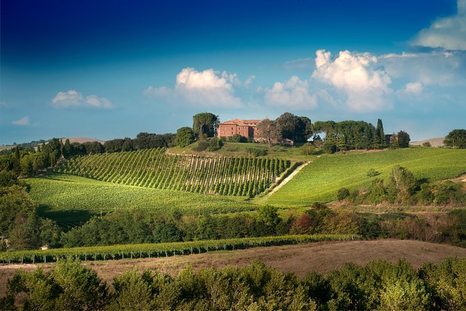 Montalcino Castle and Vineyards Tour With Tasting - Highlights of the Castle